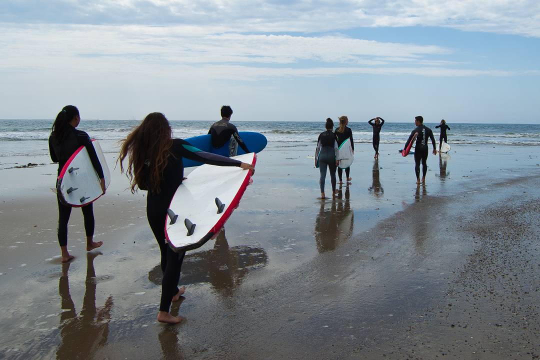 Surfers on the beach